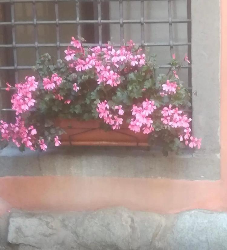 Casa Mirella Appartement Lovere Buitenkant foto